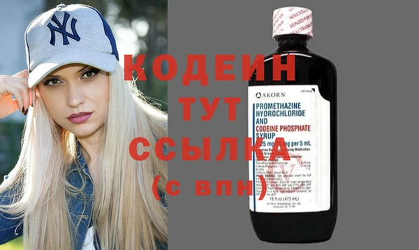 сатива Елизово
