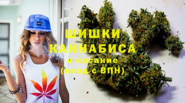 сатива Елизово