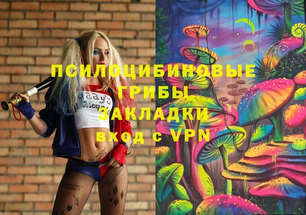 соль курить ск Ельня