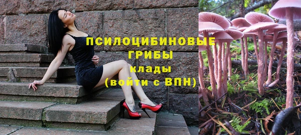 соль курить ск Ельня
