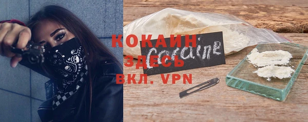 сатива Елизово