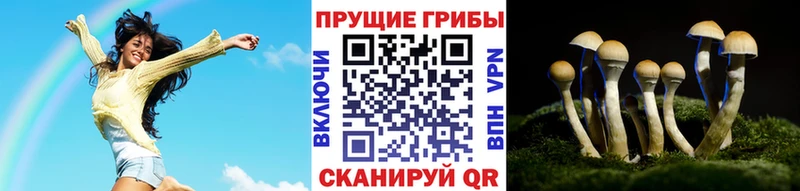 omg как войти  купить закладку  Рузаевка  Псилоцибиновые грибы мицелий 