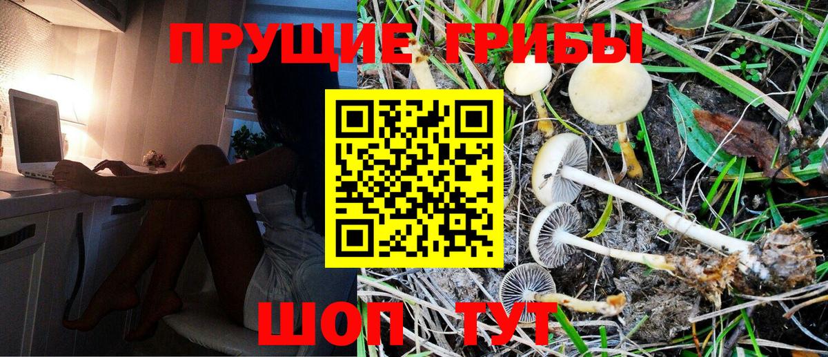 Псилоцибиновые грибы Magic Shrooms Рузаевка