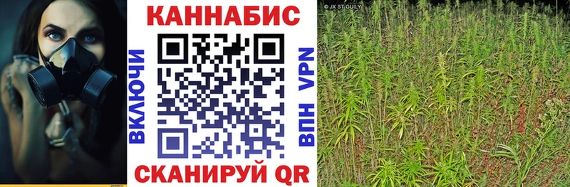 Бошки марихуана SATIVA & INDICA  мега ONION  Рузаевка 